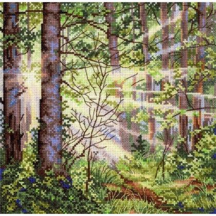 Sunny Forest