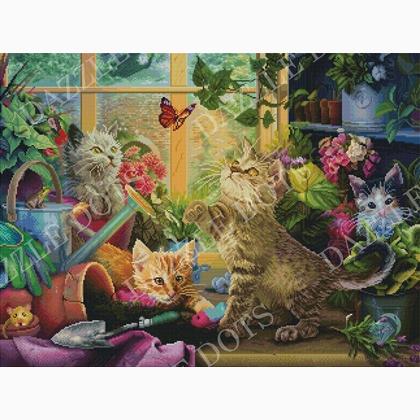Potting Shed Kittens