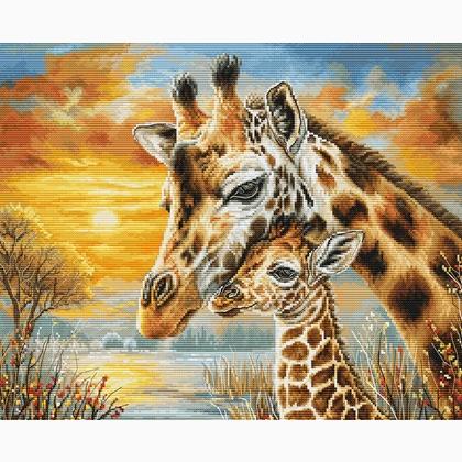 Giraffe Cuddle