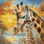 Giraffe Cuddle