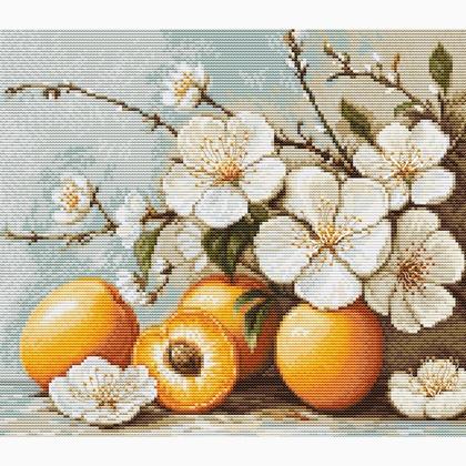 Apricot blossom