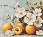 Apricot blossom