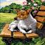 Le banc