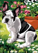 Dog et fleurs
