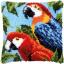 Cushion - Parrots