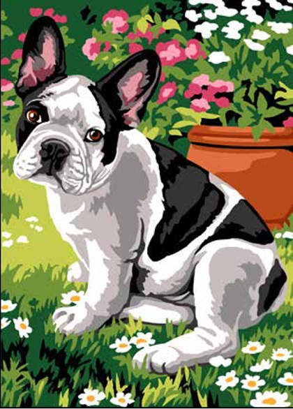 Dog et fleurs