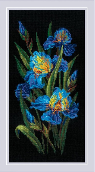 Beautiful Irises