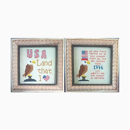 Reflections Of USA #1