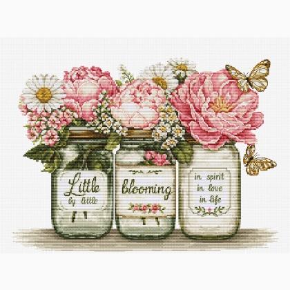 Little by Little Blooming - Bellana