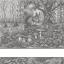 Kitchen towel - Tesori del Bosco - Anthracite