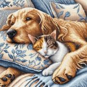The Siesta