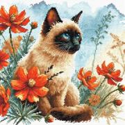 Cat's Garden