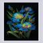 Beautiful Irises