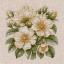 Wild Rose Hips