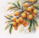 A Branch of Sea Buckthorn