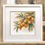A Branch of Sea Buckthorn