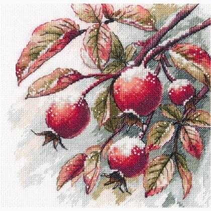 Winter Dreams