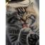 Soft paws