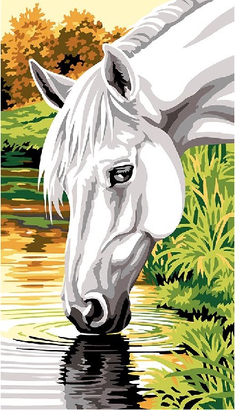 At the Water Hole