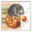 Cats and Threads