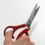 Sewing Shears with Lacquered Handles and Gold Leaf Shunuri