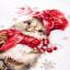 Feathers and Fashion