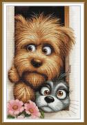 Curious couple