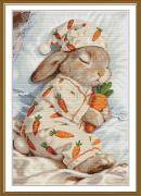 Carrot dream