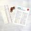 Bookmark - Christmas Magic