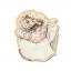 Beatrix Potter - Mrs Tiggy-Winkle Needle Minder