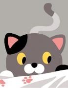 Kitten
