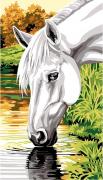 At the Water Hole