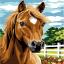 Horse