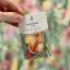 Beatrix Potter - Squirrel Nutkin Needle Minder