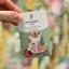 Beatrix Potter - Tailor of Gloucester Needle Minder