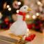 Winter Goose