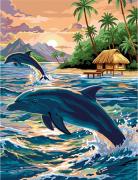 Dolphins