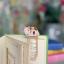Bookmark - Cat - Calico