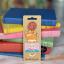 Bookmark - Cat - Ginger