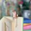 Bookmark - Cat - Stripey
