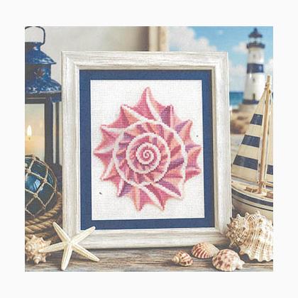 Conch Shell