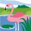 Pink flamingo