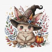 Magic Bunny in Autumn