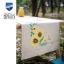 Runner - Sunflowers