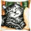 Cushion - Cat with a book