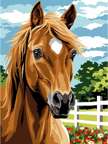 Horse