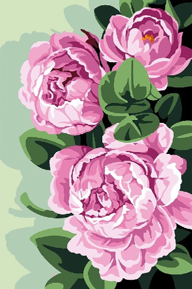 Peonies