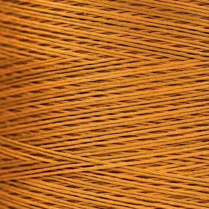 WDW 1227a Turmeric