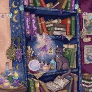 The Magic Shelf