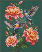 The hummingbird waltz